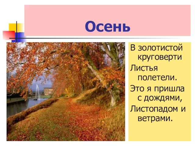 Осень В золотистой круговерти Листья полетели. Это я пришла с дождями, Листопадом и ветрами.