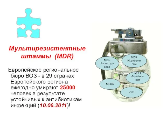 Мультирезистентные штаммы (MDR) MDR Ps.aeruginosae MDR Acinetobacter MDR Kl.pneumoniae MRSA VRE