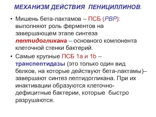 МЕХАНИЗМ ДЕЙСТВИЯ ПЕНИЦИЛЛИНОВ: Мишень бета-лактамов – ПСБ (PBP): выполняют роль ферментов