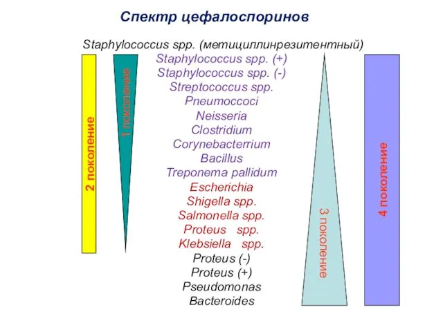 Спектр цефалоспоринов Staphylococcus spp. (метициллинрезитентный) Staphylococcus spp. (+) Staphylococcus spp. (-)