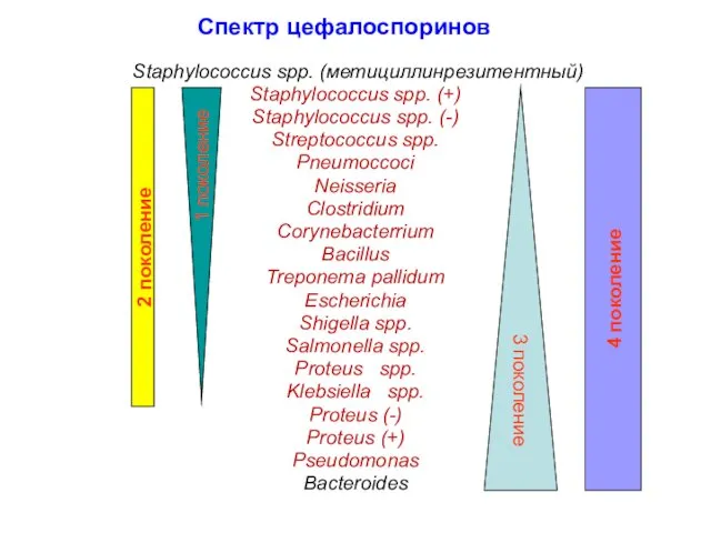 Спектр цефалоспоринов Staphylococcus spp. (метициллинрезитентный) Staphylococcus spp. (+) Staphylococcus spp. (-)