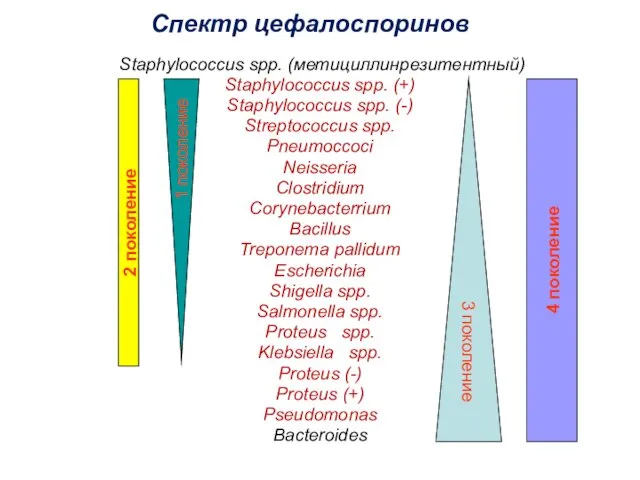 Спектр цефалоспоринов Staphylococcus spp. (метициллинрезитентный) Staphylococcus spp. (+) Staphylococcus spp. (-)