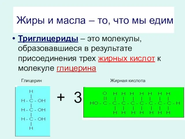 Жиры и масла – то, что мы едим Триглицериды – это