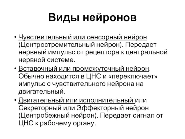 Чувствительный или сенсорный нейрон (Центростремительный нейрон). Передает нервный импульс от рецептора