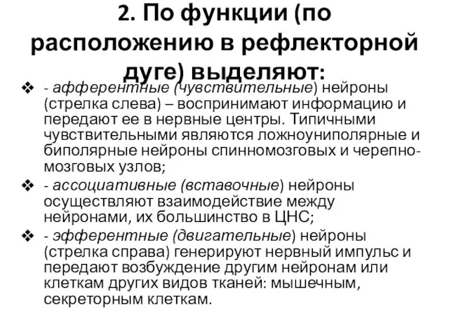 2. По функции (по расположению в рефлекторной дуге) выделяют: - афферентные