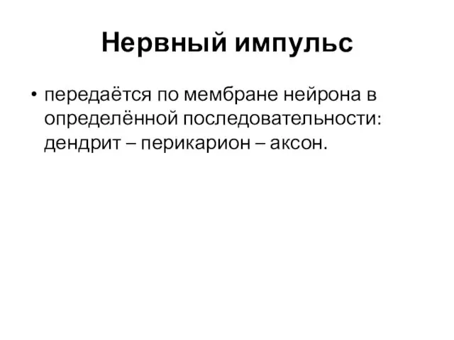 Нервный импульс передаётся по мембране нейрона в определённой последовательности: дендрит – перикарион – аксон.