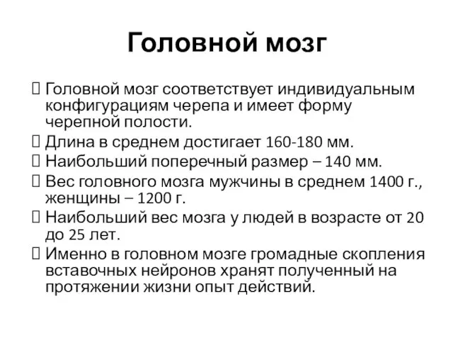 Головной мозг соответствует индивидуальным конфигурациям черепа и имеет форму черепной полости.