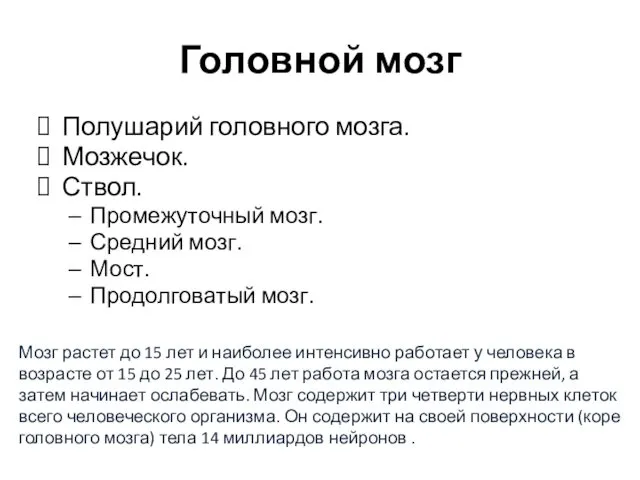 Полушарий головного мозга. Мозжечок. Ствол. Промежуточный мозг. Средний мозг. Мост. Продолговатый