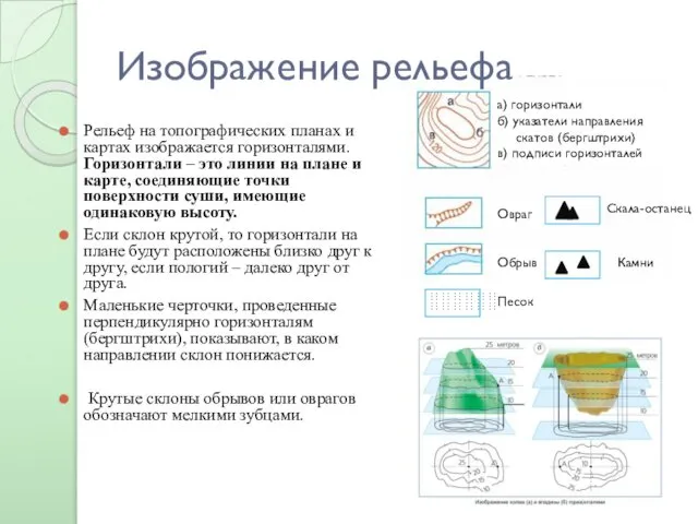 Изображение рельефа Рельеф на топографических планах и картах изображается горизонталями. Горизонтали