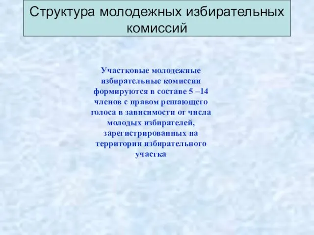 Структура молодежных избирательных комиссий Участковые молодежные избирательные комиссии формируются в составе