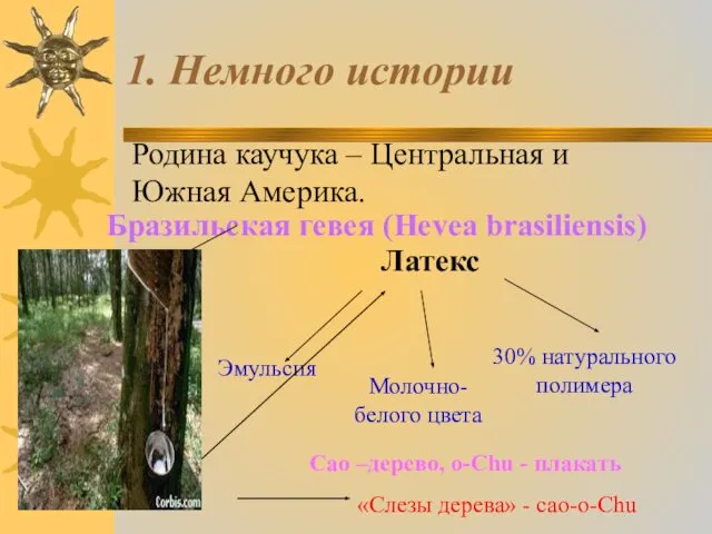 1. Немного истории Родина каучука – Центральная и Южная Америка. Бразильская