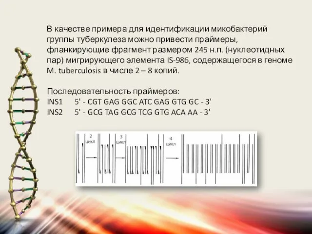 В качестве примера для идентификации микобактерий группы туберкулеза можно привести праймеры,