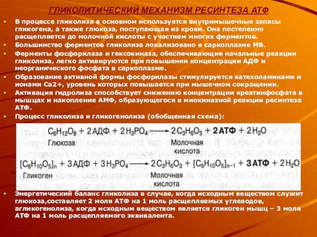 ГЛИКОЛИТИЧЕСКИЙ МЕХАНИЗМ РЕСИНТЕЗА АТФ В процессе гликолиза в основном используется внутримышечные