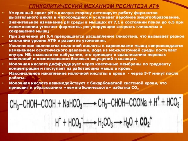 ГЛИКОЛИТИЧЕСКИЙ МЕХАНИЗМ РЕСИНТЕЗА АТФ Умеренный сдвиг рН в кислую сторону активирует