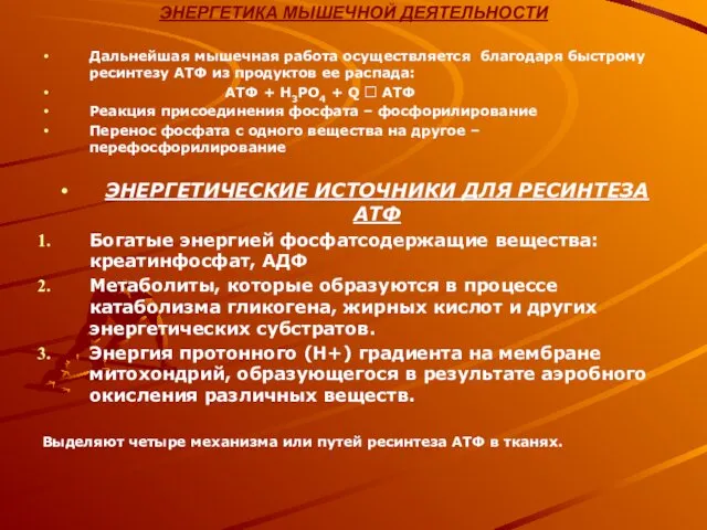 ЭНЕРГЕТИКА МЫШЕЧНОЙ ДЕЯТЕЛЬНОСТИ Дальнейшая мышечная работа осуществляется благодаря быстрому ресинтезу АТФ