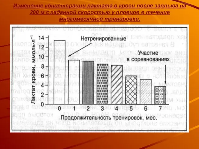 Изменение концентрации лактата в крови после заплыва на 200 м с