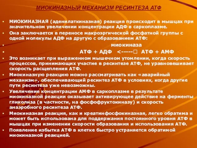 МИОКИНАЗНЫЙ МЕХАНИЗМ РЕСИНТЕЗА АТФ МИОКИНАЗНАЯ (аденилаткиназная) реакция происходит в мышцах при