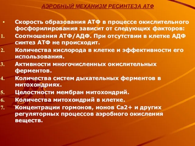 АЭРОБНЫЙ МЕХАНИЗМ РЕСИНТЕЗА АТФ Скорость образования АТФ в процессе окислительного фосфорилирования