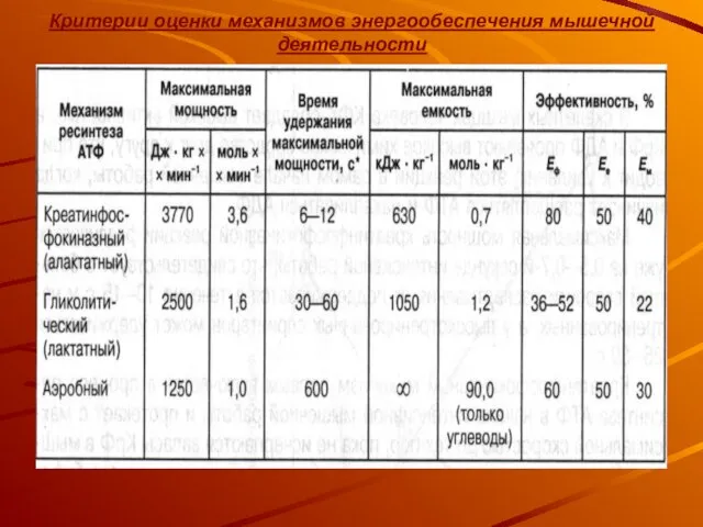 Критерии оценки механизмов энергообеспечения мышечной деятельности