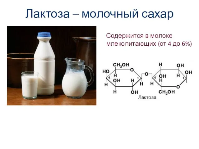 Лактоза – молочный сахар Содержится в молоке млекопитающих (от 4 до 6%)