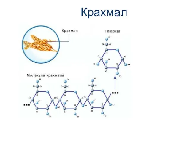 Крахмал