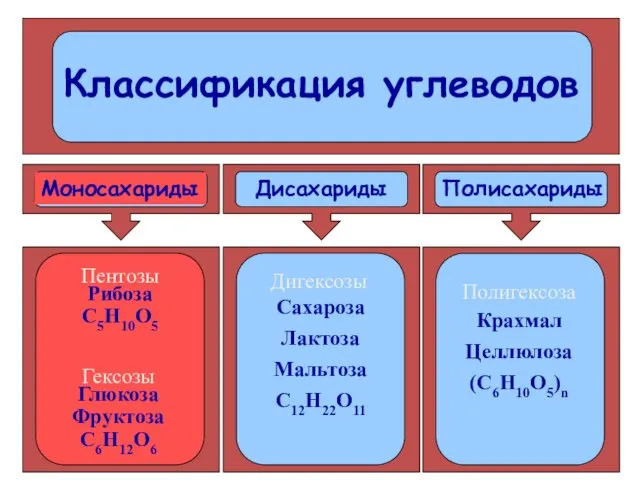 Моносахариды Дисахариды Полисахариды Пентозы Рибоза С5Н10О5 Гексозы Глюкоза Фруктоза С6Н12О6 Сахароза