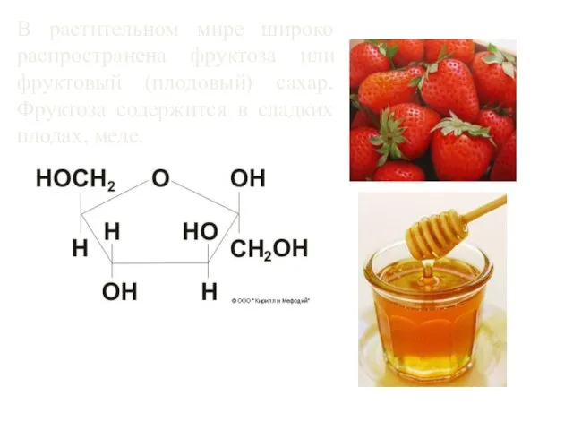 В растительном мире широко распространена фруктоза или фруктовый (плодовый) сахар. Фруктоза содержится в сладких плодах, меде.