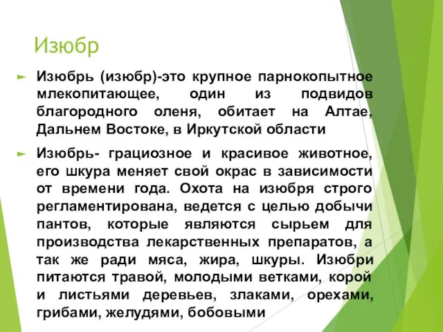 Изюбр Изюбрь (изюбр)-это крупное парнокопытное млекопитающее, один из подвидов благородного оленя,