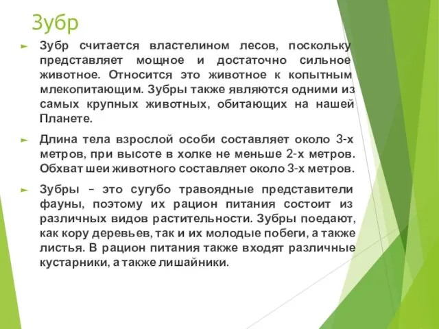 Зубр Зубр считается властелином лесов, поскольку представляет мощное и достаточно сильное