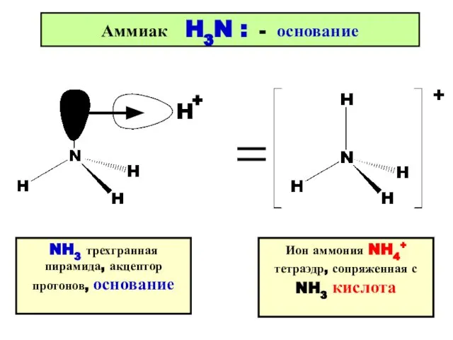 + + Аммиак H3N : - основание NH3 трехгранная пирамида, акцептор