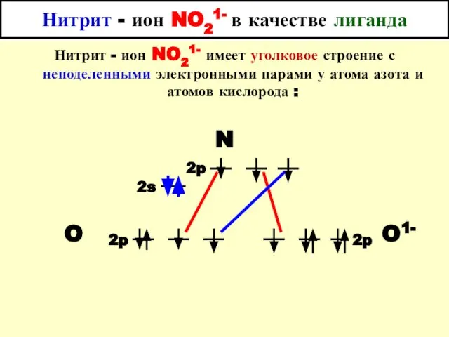 Нитрит - ион NO21- в качестве лиганда Нитрит - ион NO21-