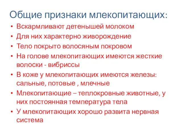 Общие признаки млекопитающих: Вскармливают детенышей молоком Для них характерно живорождение Тело