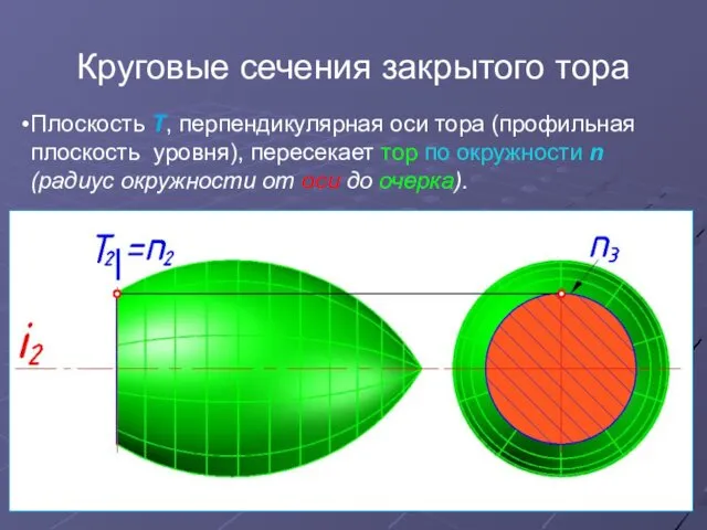 Круговые сечения закрытого тора Плоскость Т, перпендикулярная оси тора (профильная плоскость