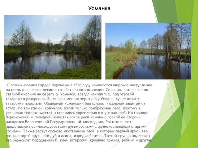 Усманка ) С возникновения города Воронежа в 1586 году начинается широкое