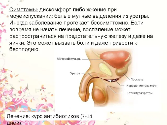 Симптомы: дискомфорт либо жжение при мочеиспускании; белые мутные выделения из уретры.