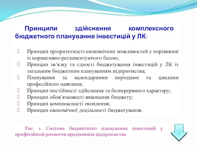 Принципи здійснення комплексного бюджетного планування інвестицій у ЛК: Принцип пріоритетності економічних