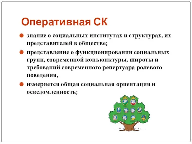 Оперативная СК знание о социальных институтах и структурах, их представителей в