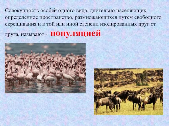 Совокупность особей одного вида, длительно населяющих определенное пространство, размножающихся путем свободного