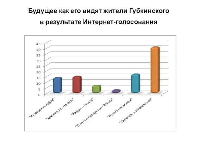 Будущее как его видят жители Губкинского в результате Интернет-голосования