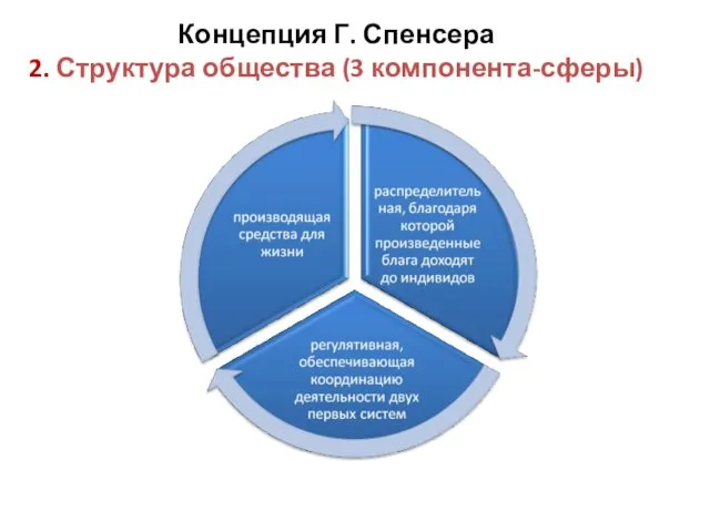 Концепция Г. Спенсера 2. Структура общества (3 компонента-сферы)