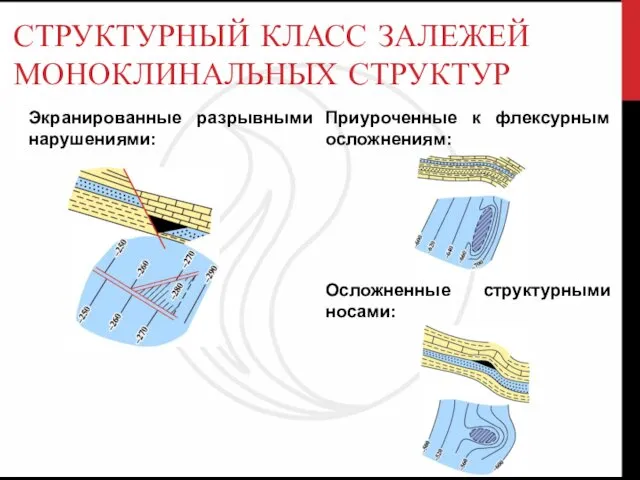 СТРУКТУРНЫЙ КЛАСС ЗАЛЕЖЕЙ МОНОКЛИНАЛЬНЫХ СТРУКТУР Экранированные разрывными нарушениями: Приуроченные к флексурным осложнениям: Осложненные структурными носами: