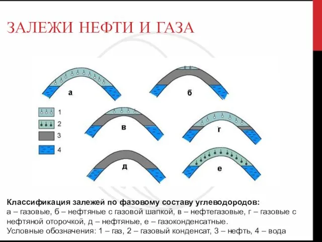 ЗАЛЕЖИ НЕФТИ И ГАЗА Классификация залежей по фазовому составу углеводородов: а