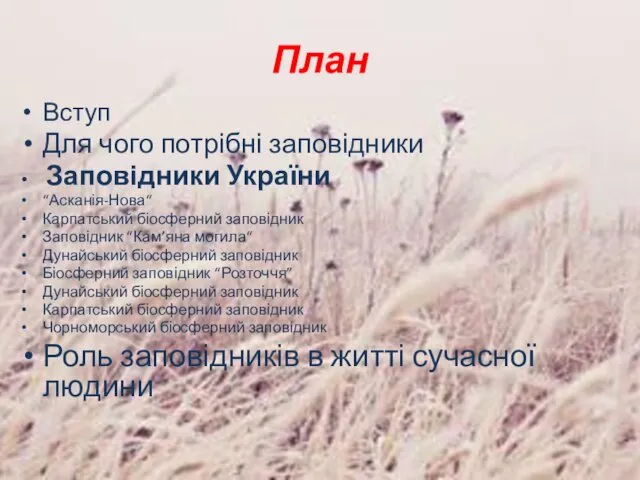 План Вступ Для чого потрібні заповідники Заповідники України “Асканія-Нова“ Карпатський біосферний