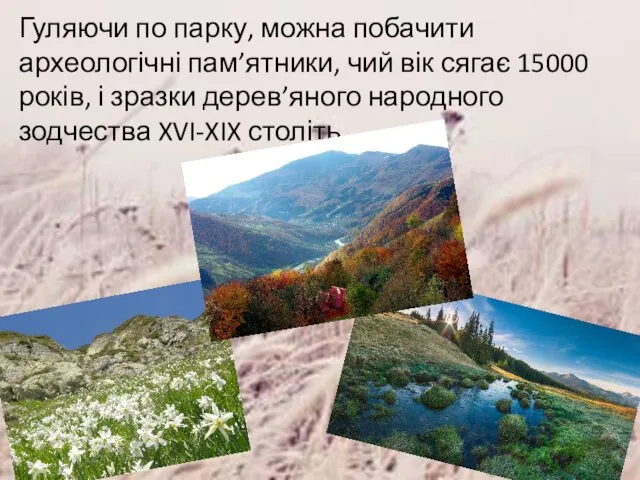 Гуляючи по парку, можна побачити археологічні пам’ятники, чий вік сягає 15000