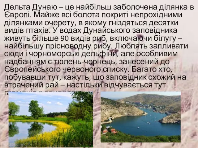 Дельта Дунаю – це найбільш заболочена ділянка в Європі. Майже всі