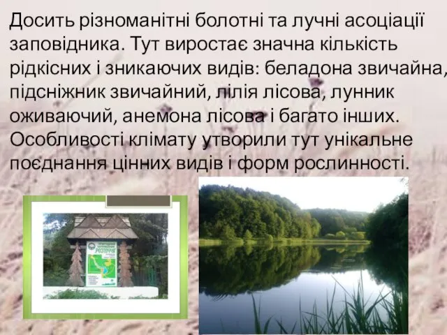 Досить різноманітні болотні та лучні асоціації заповідника. Тут виростає значна кількість