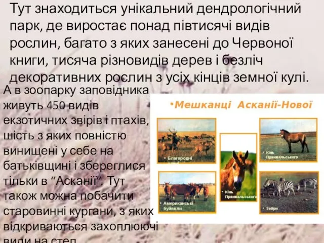 Тут знаходиться унікальний дендрологічний парк, де виростає понад півтисячі видів рослин,