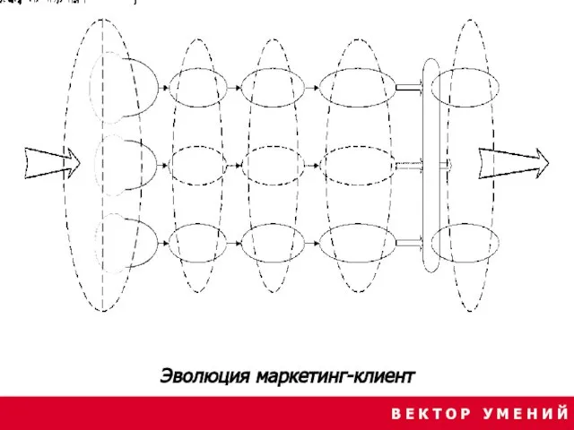 В Е К Т О Р У М Е Н И Й Эволюция маркетинг-клиент