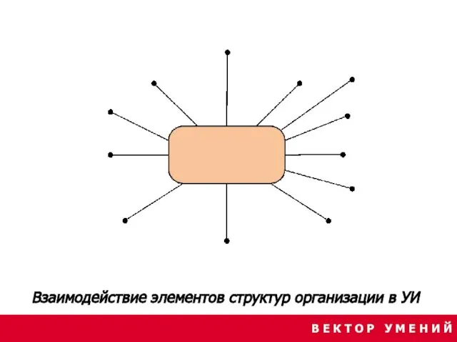 Взаимодействие элементов структур организации в УИ В Е К Т О