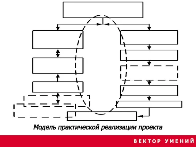 В Е К Т О Р У М Е Н И Й Модель практической реализации проекта